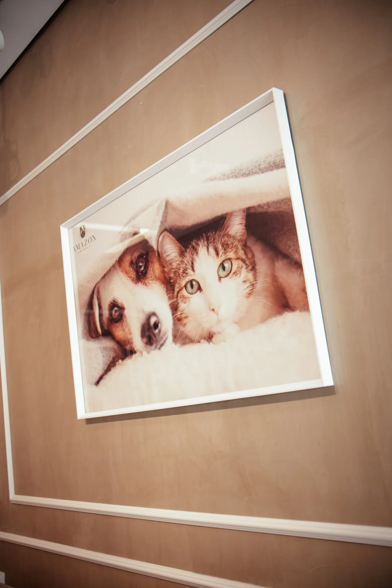 amazon crematório pet em Manaus