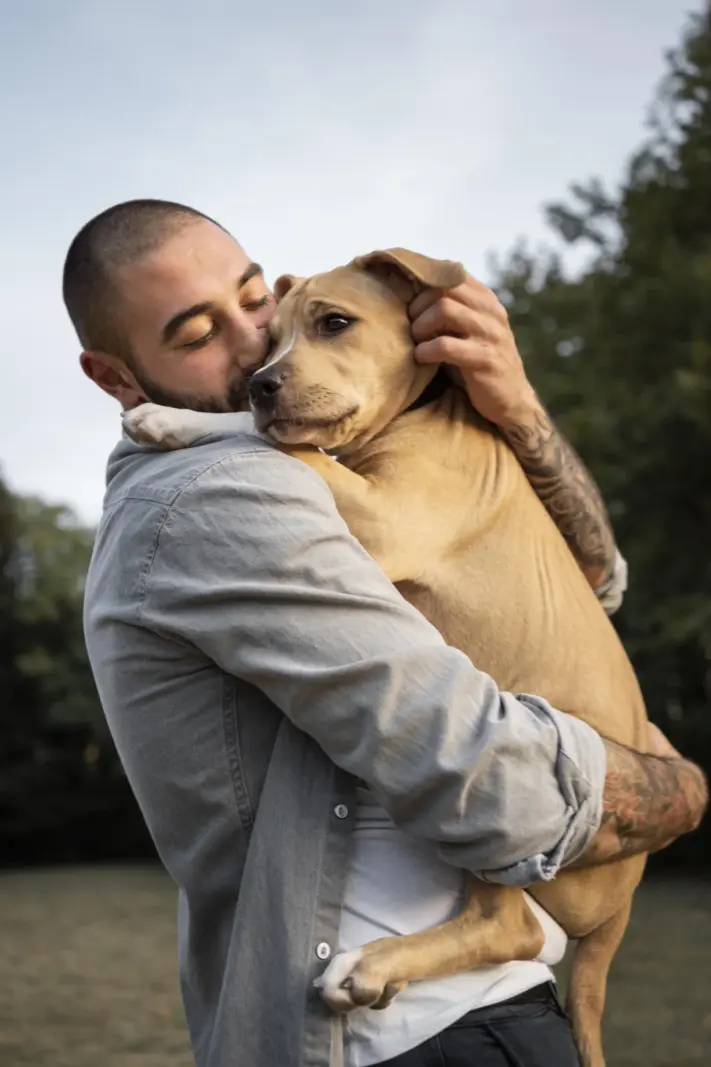 Cremação de Animais