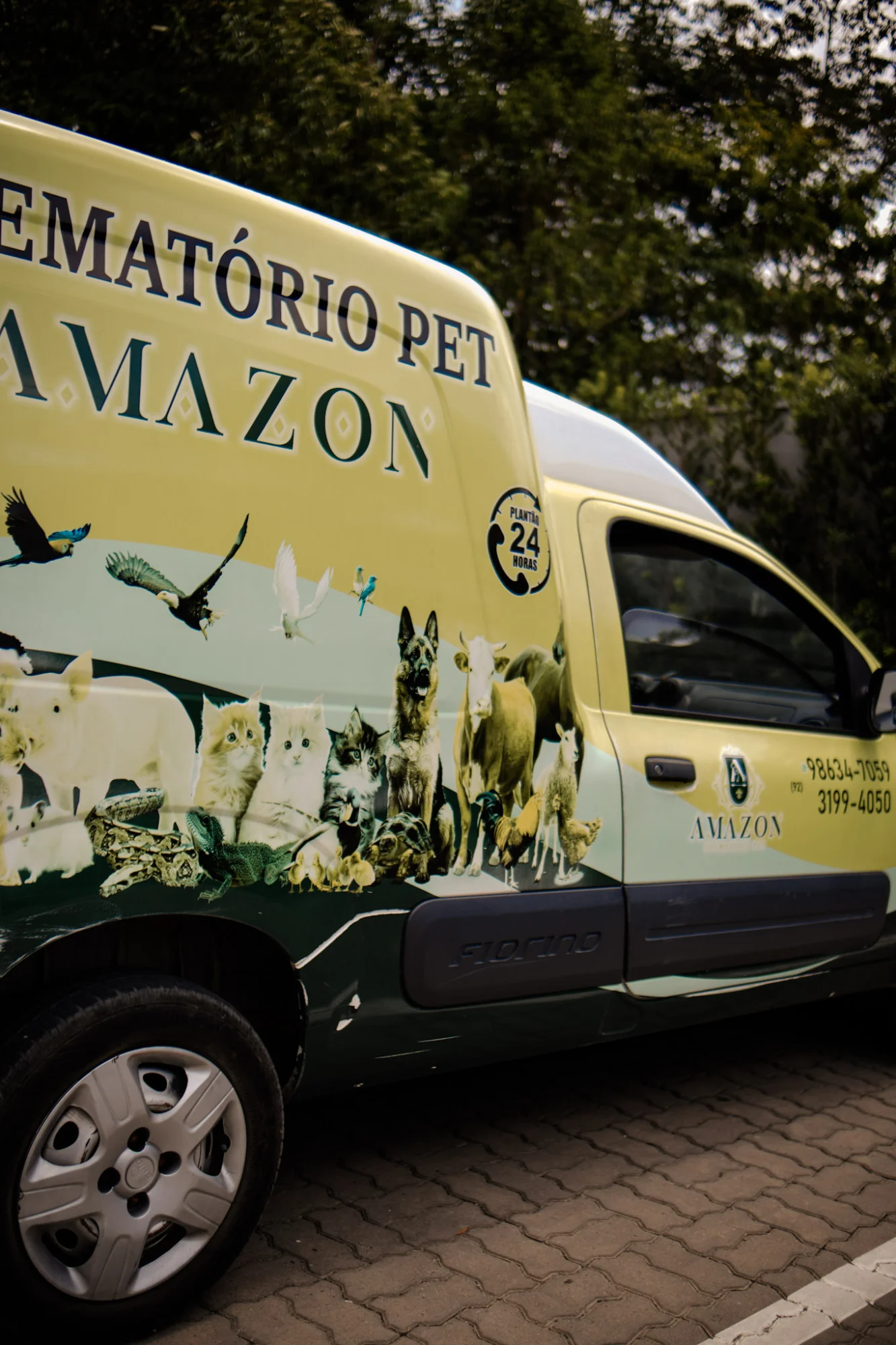 serviço funerário para pets